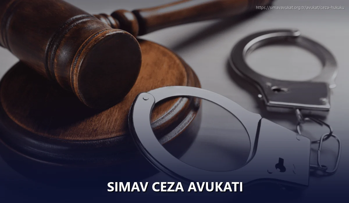 Simav Ceza Avukatı